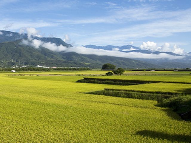 【糜咕熬米湯 6入禮盒】以台東優質白米長時熬製的暖胃首選