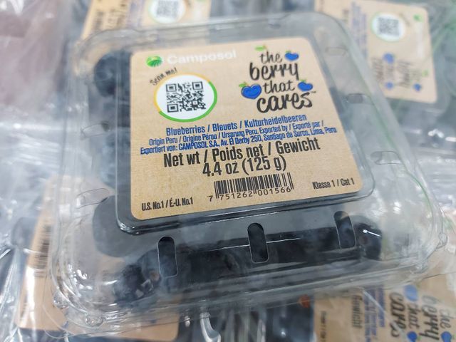 【慶祝奪金！秘魯 新鮮藍莓x一箱(125g×12盒)】充滿花青素 微酸甜 OL的好伙伴