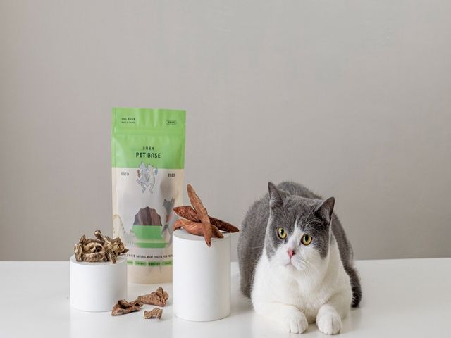 【寵物零食 - DHA 深海鰹魚肉35g/包】犬貓適用 毛孩的天然無添加點心