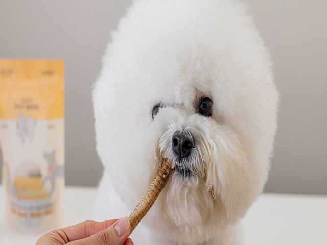 【寵物零食 - 卡滋鵝薯條 鵝氣管35gＸ4包】犬貓適用 毛孩的天然無添加點心