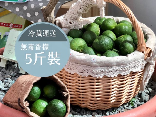【冷藏出貨-天然無毒 台灣香檬 5斤裝】台灣原生山桔仔 農民們希望的果實!