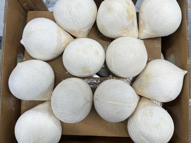 【限桃園專送！東南亞進口 香水椰子32顆裝x20箱】100%原汁原味 汁多甜度高