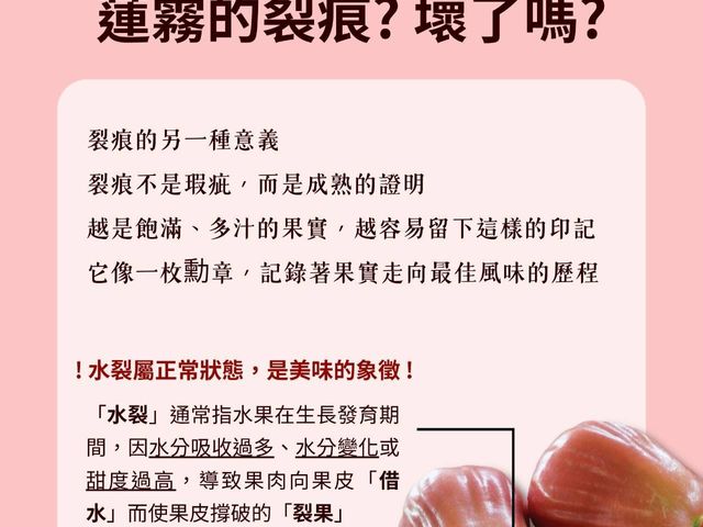 【脆甜預購！夢幻逸品黑糖芭比蓮霧5斤裝】有身分證的蓮霧 當日鮮採直送