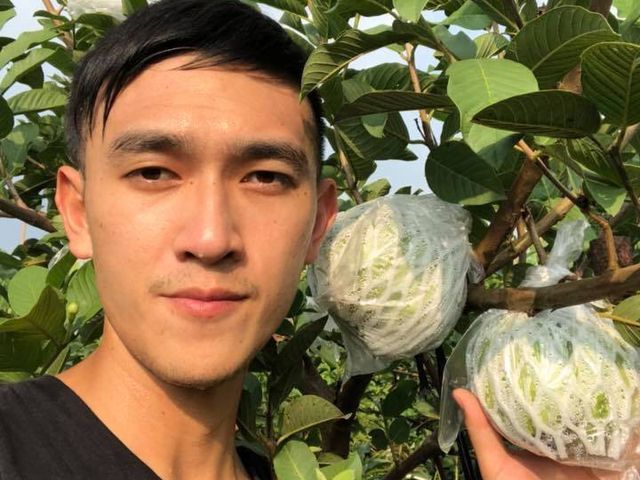 【高雄大樹 珍珠芭樂5斤X4箱】果肉香甜、脆度甜度一極棒