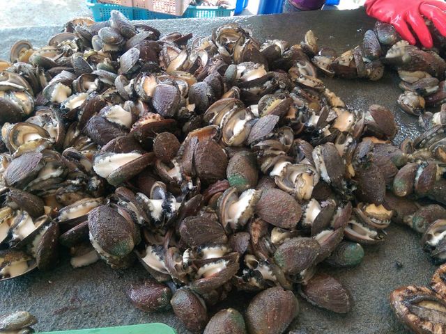 【美味海鮮 鮮漬九孔一盒(300g/盒)】天然養殖無添加 來自自家養殖場