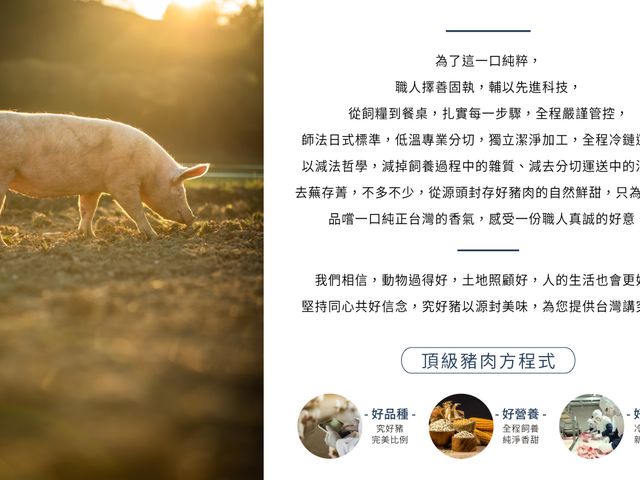【究好豬 黃金比例絞肉(精裝)180g】粗絞處理 適合拌炒燉滷