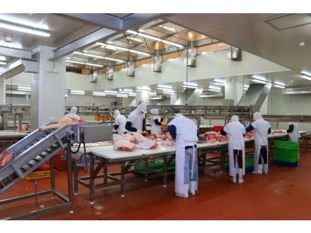 【究好豬 香滷腱肉 300g】由數種中藥熬製成私房滷汁滷製