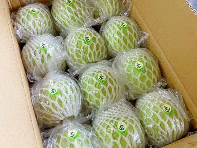 【台南楠西 帝王芭樂】草生栽培 清香脆甜的好滋味！