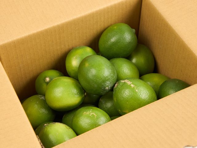 【好友日88折！產銷履歷 屏東竹田 A級四季檸檬(有籽) 10斤裝】消暑料理超百搭