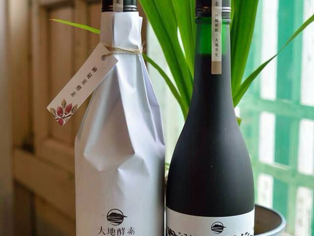 【大地酵素 古法釀造醱酵液(酵素)600mlx2瓶】神秘果/樹葡萄/青梅 任選