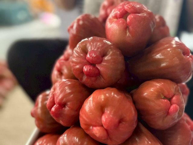 【南投信義 夢幻逸品黑糖芭比蓮霧5斤裝】脆甜多汁 當日鮮採直送