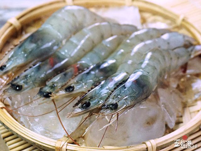 【月圓海鮮盛宴(小家庭輕鬆烤肉 8+1件組) 】3-5人份  免運加碼送蒲燒鯛魚腹