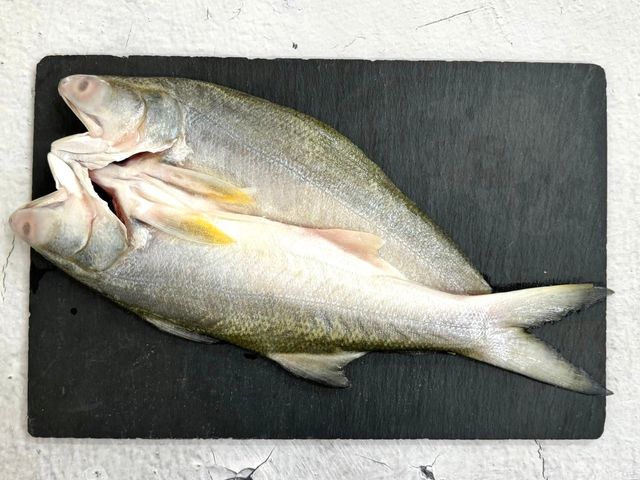 【月圓海鮮盛宴(小家庭輕鬆烤肉 8+1件組) 】3-5人份  免運加碼送蒲燒鯛魚腹