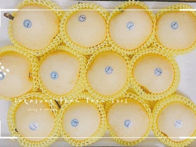 【預購！台中梨山 香甜新世紀梨禮盒】一口脆甜 滿滿初秋的清爽滋味