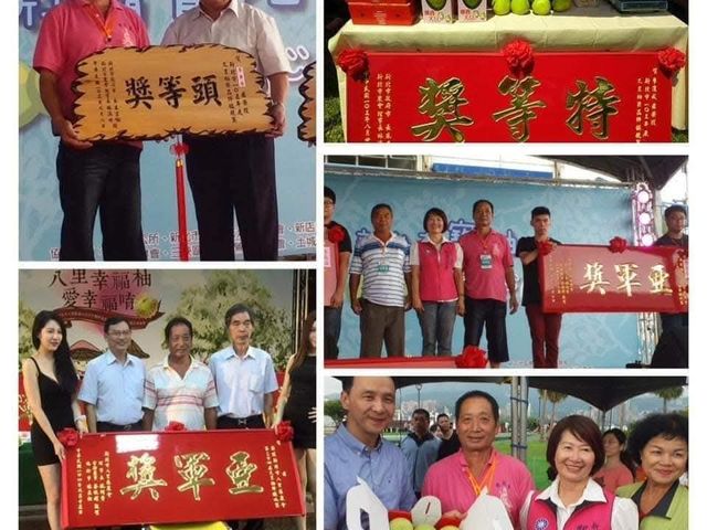 【預購！新北八里 傳承5代的優質紅文旦8斤裝】海風鹹霧滋養 酸酸甜甜又多汁