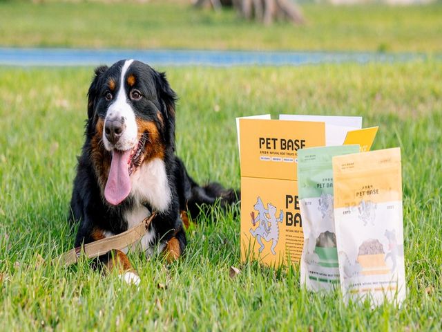 【寵物零食 - 嘎嘎脆月牙軟骨 70g/包】犬貓適用 毛孩的天然無添加點心