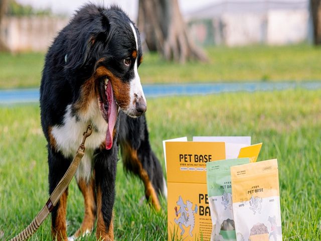 【寵物零食 - 嘎嘎脆月牙軟骨 70g/包】犬貓適用 毛孩的天然無添加點心