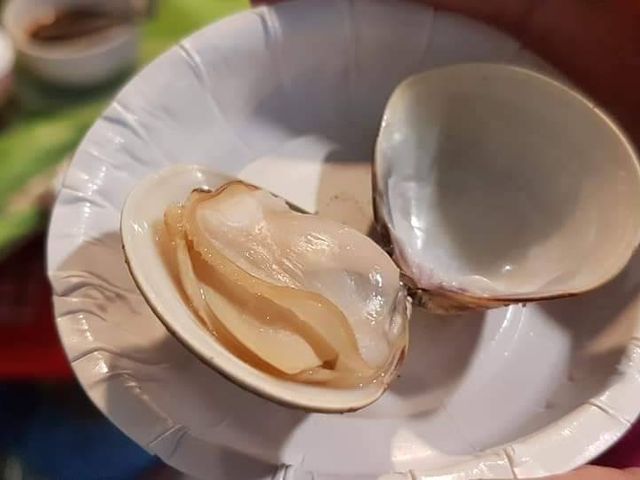 【中秋加碼買3送1！台西聚鮮 產銷履歷冠軍文蛤300g×3包+1包】友善環保生態養殖 火鍋必備海味