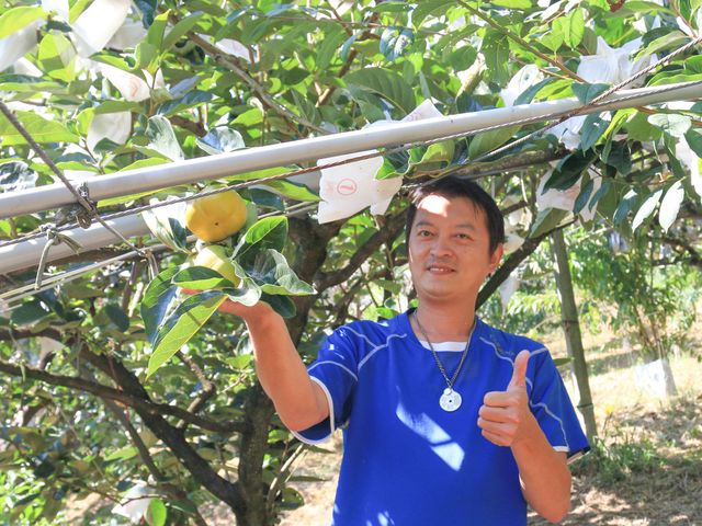 【預購 ! 梨界LV 台中梨山 甘露梨禮盒】高海拔秘境果園，真正的高山梨子！