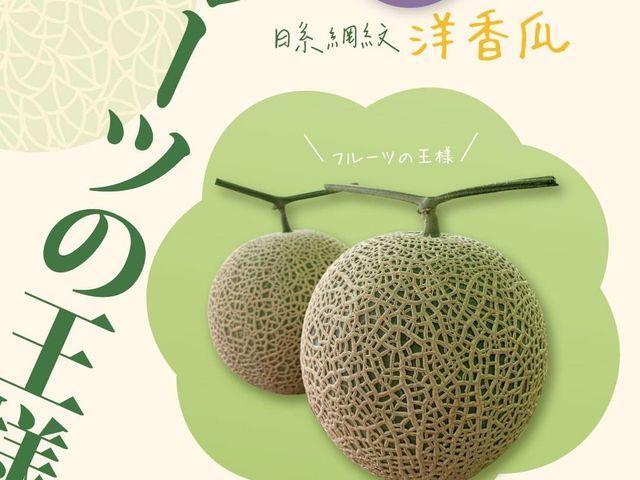 【搶先預購中！瓜中之王 阿露斯洋香瓜禮盒】香甜多汁無農藥 溫室日系網紋洋香瓜