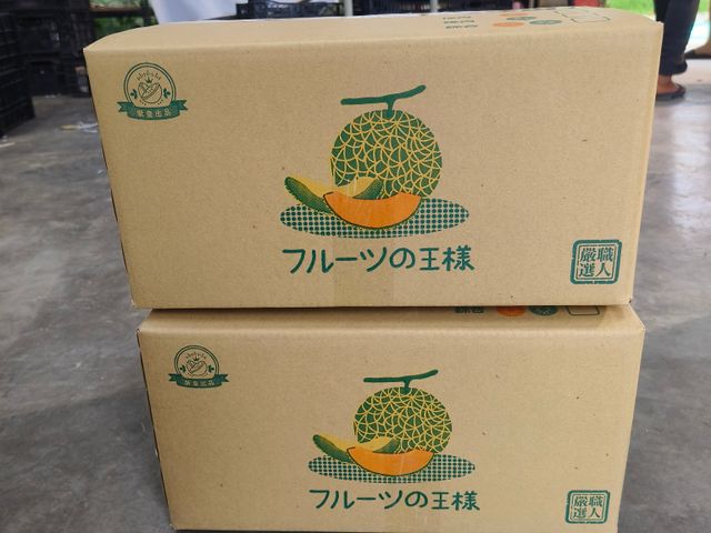 【搶先預購中！瓜中之王 阿露斯洋香瓜禮盒】香甜多汁無農藥 溫室日系網紋洋香瓜