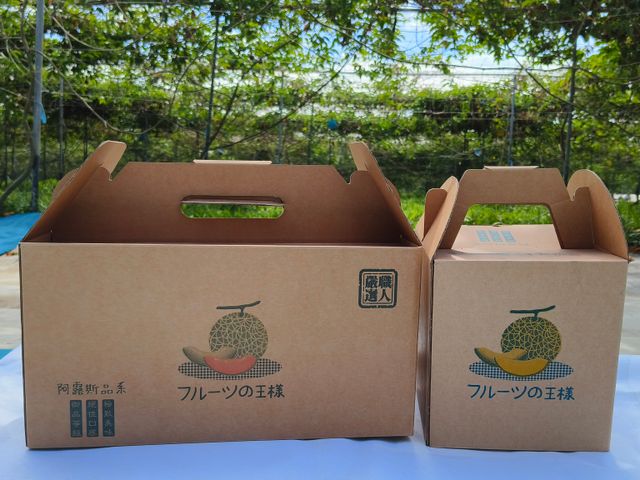 【搶先預購中！瓜中之王 阿露斯洋香瓜禮盒】香甜多汁無農藥 溫室日系網紋洋香瓜