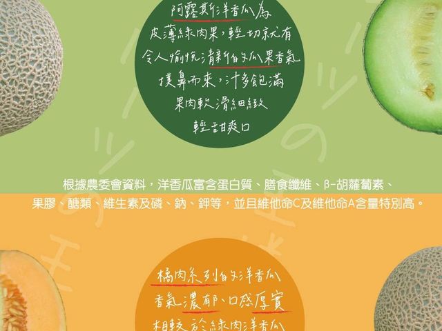 【搶先預購中！瓜中之王 阿露斯洋香瓜禮盒】香甜多汁無農藥 溫室日系網紋洋香瓜