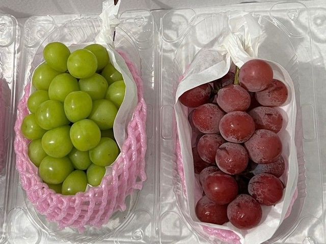 【預購 ! 新鮮空運 日本麝香&妮娜皇后葡萄 兩房禮盒】精選組合 心意滿分 !