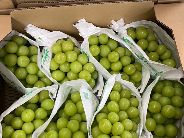 【限量夢幻珍品！日本山梨縣麝香葡萄原裝箱5kg(6~8房大果級)】翠綠色澤 如同寶石般珍貴