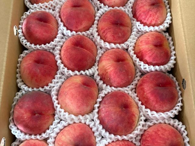 【香甜開賣 ! 新鮮空運 日本山形水蜜桃 5kg原裝箱 】香氣濃郁 甜美多汁