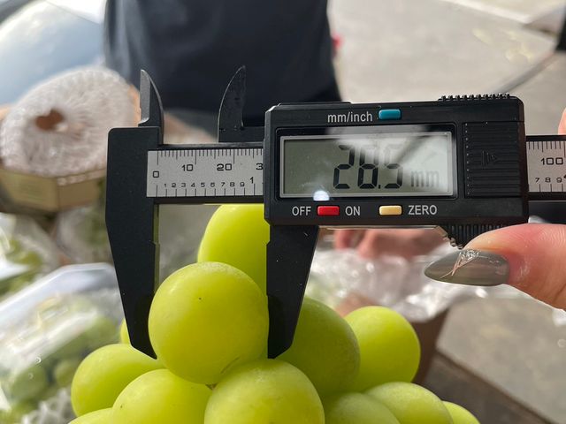 【週三好友推薦！頂級韓國麝香葡萄2房/組】果粒紮實 皮薄Q彈飽滿
