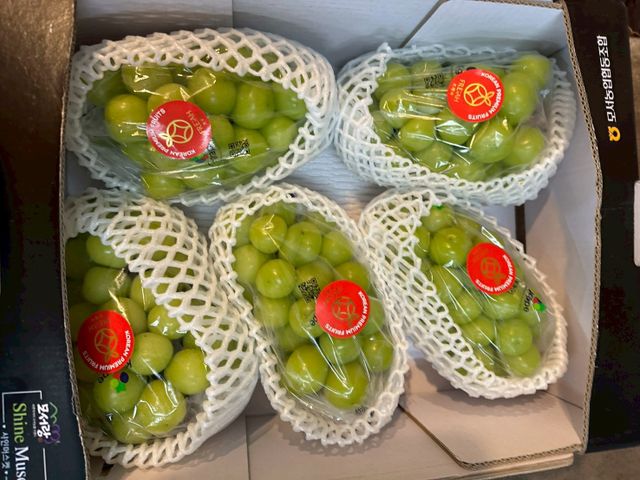 【快閃團！韓國麝香葡萄5房/箱/4kg裝】果粒紮實 皮薄Q彈飽滿