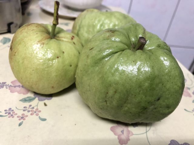 【大雪山上的 脆甜水蜜芭樂9斤裝】外皮醜卻酸甜夠味 市場少見高山種植