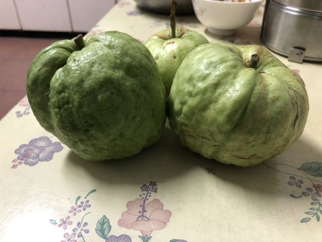 【大雪山上的 脆甜水蜜芭樂9斤裝】外皮醜卻酸甜夠味 市場少見高山種植