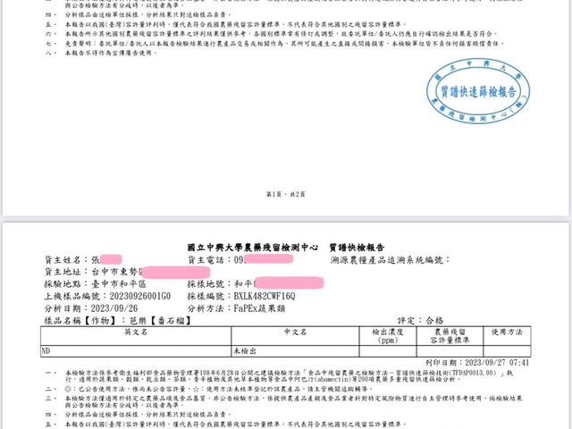 【大雪山上的 脆甜水蜜芭樂9斤裝】外皮醜卻酸甜夠味 市場少見高山種植