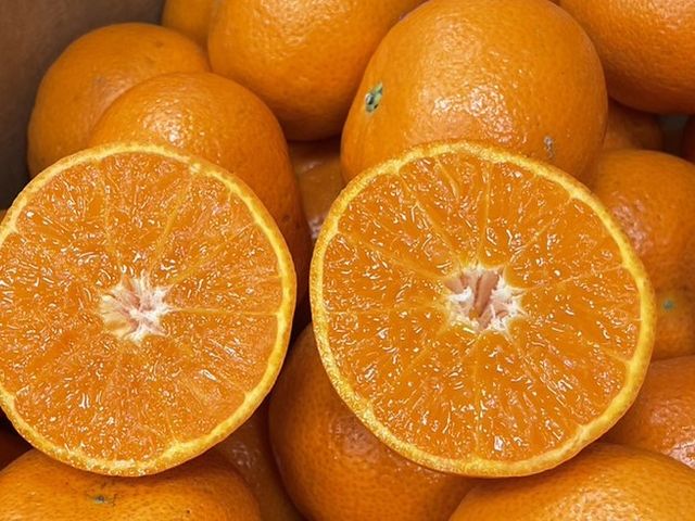 【酸甜夠味！南非砂糖橘】吸飽滿滿陽光 金黃小巧可愛