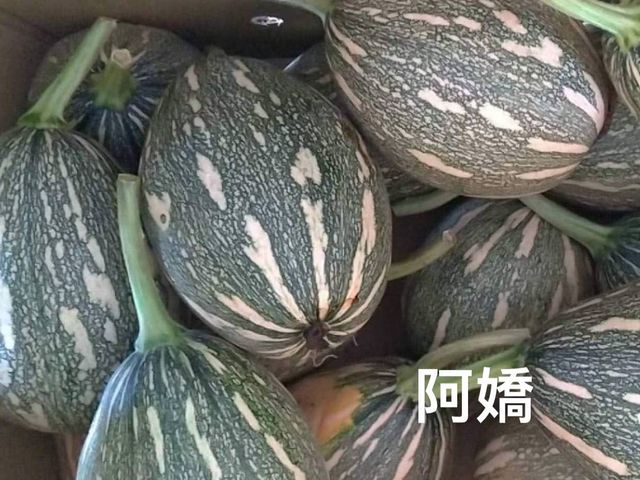 【免運！阿嬌南瓜10斤裝】金黃好南瓜，新鮮產地直送