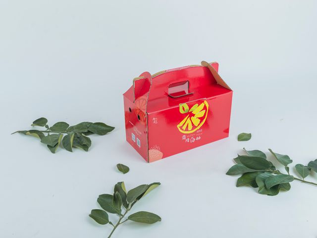 【多汁預購中！正宗台南麻豆大白柚 5斤禮盒裝】承載50年的老柚樹 孕育馥郁酸甜果實