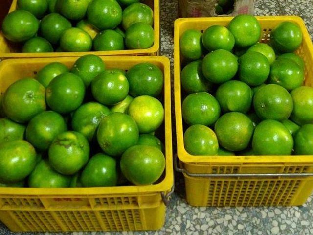 【預購商品 青皮甜葡萄柚】不酸也不苦 最自然的清甜原味