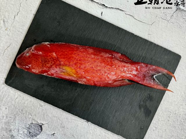 【野生頂級紅條魚x5隻(400g~500g/隻)】宴會中常見的高級食材 已三去處理