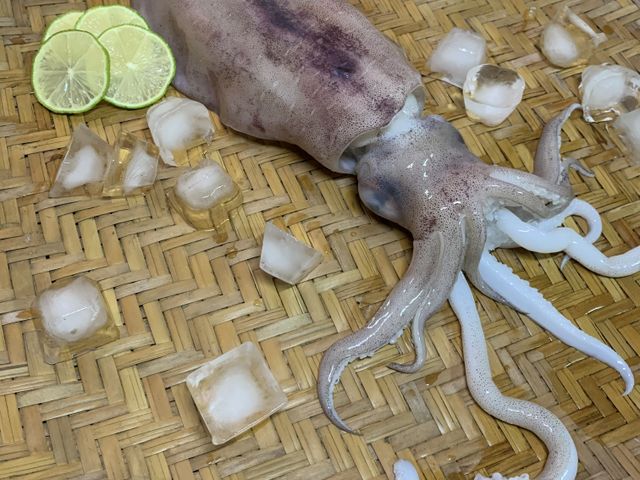 【五朝港水產！4A等級鮮美軟絲x5隻(400-500g/隻)】急速冷凍 完美鎖住軟絲的鮮甜
