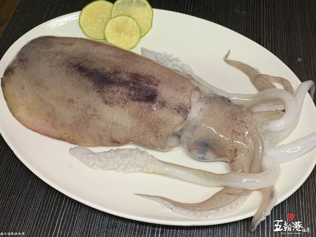 【五朝港水產！4A等級鮮美軟絲x5隻(400-500g/隻)】急速冷凍 完美鎖住軟絲的鮮甜