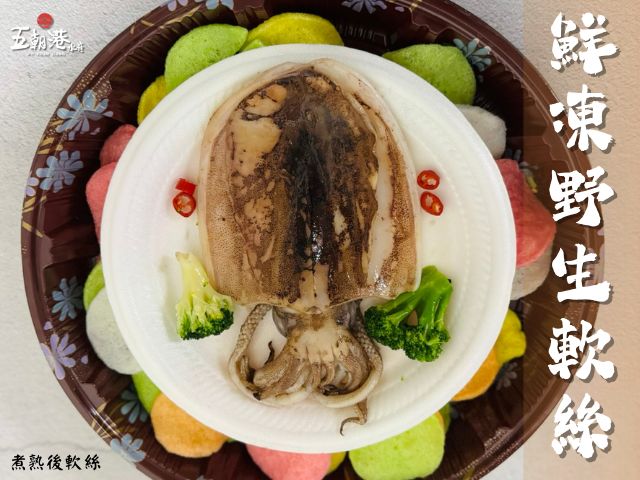 【五朝港水產！4A等級鮮美軟絲x5隻(400-500g/隻)】急速冷凍 完美鎖住軟絲的鮮甜