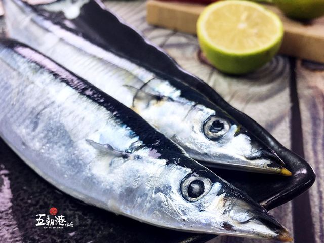 【日北特級肥美秋刀魚x6包(450g±10%/3隻/包)】當季嘗鮮 油脂豐潤不膩口