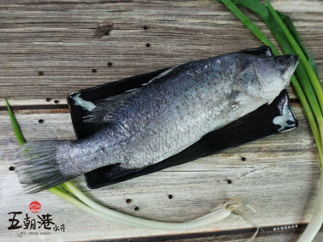 【買二送一！極鮮金目鱸魚x3隻(400g±10%/隻)】已三去 寒冬進補來碗鱸魚湯