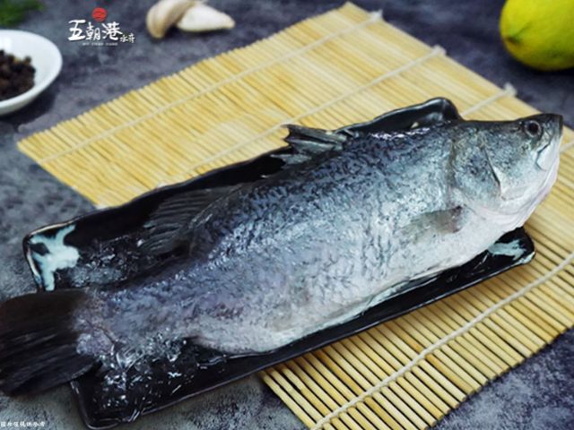 【買二送一！極鮮金目鱸魚x3隻(400g±10%/隻)】已三去 寒冬進補來碗鱸魚湯