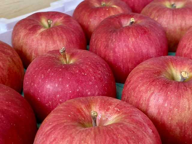 【日本青森！紅顏姬蘋果40顆裝】寒帶氣候滋養下的脆甜蘋果