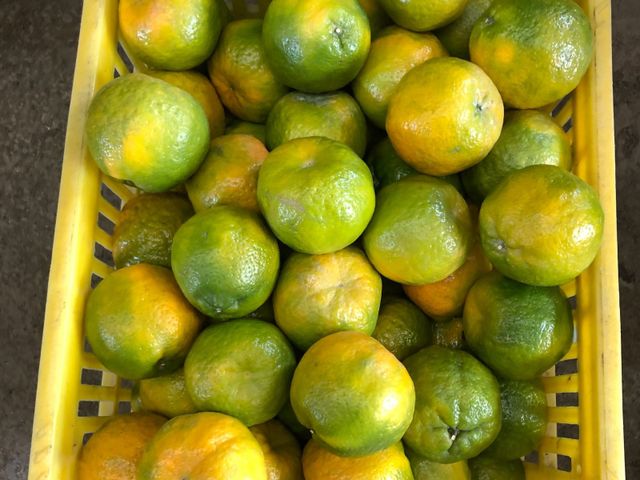 【橘味濃預購！台中大坑 酸甜草生椪柑】橘子果皮好剝果肉柔軟 汁多酸甜椪出好滋味