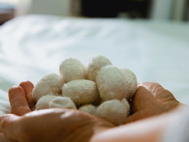 【台灣製造 100%純蠶絲被 7x7 尺 雙人被 3.6 公斤】讓手工蠶絲被每天為您呵護家人8個小時！