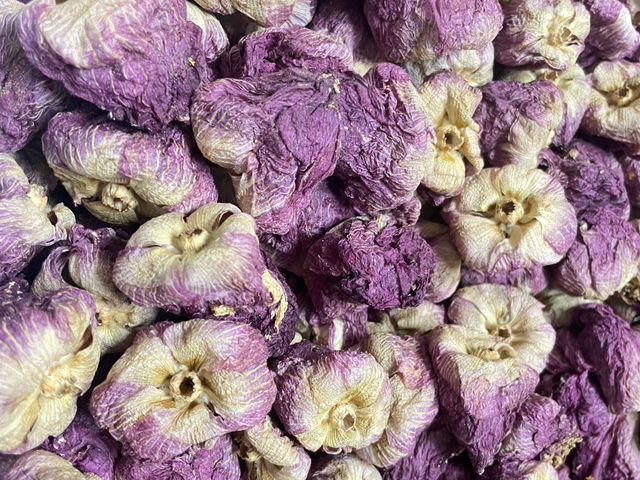 【台中東勢 有機芙蓉花茶】花香溫潤，清心養身